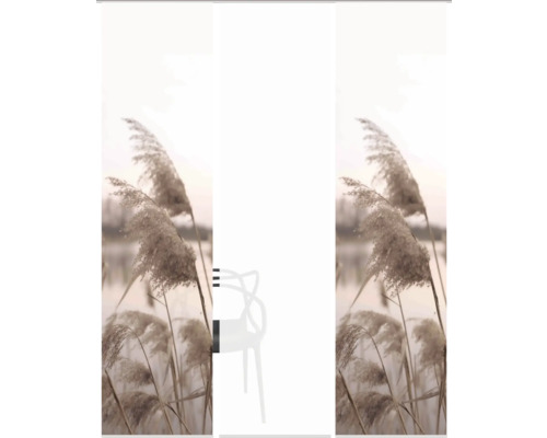 Sitzgelegenheit vor Schilflandschaft