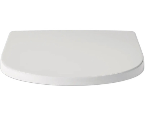 Toilettendeckel in D-Form