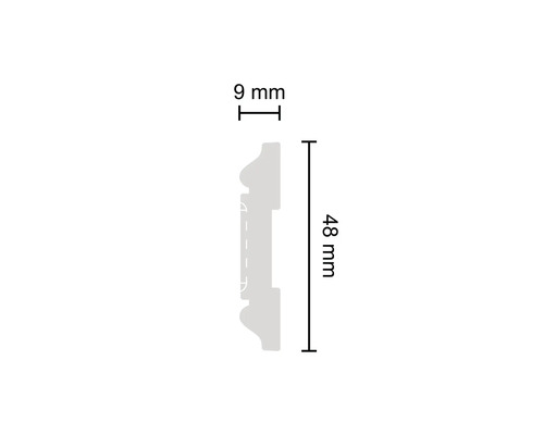 Section transversale du profilé avec dimensions 9 mm et 48 mm