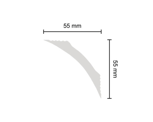 Technische Zeichnung einer Zierleiste mit den Massen 55 mm x 55 mm.