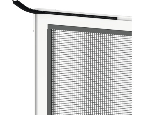 Vue détaillée d''une moustiquaire avec joint brosse