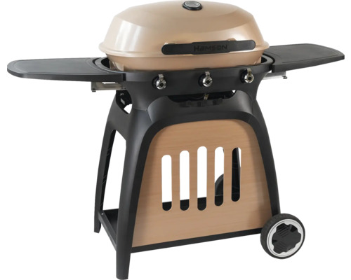Barbecue à gaz sphérique Hamson avec deux étagères et roulettes