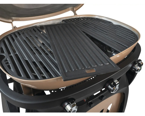 Grill à gaz avec grille et plaque de cuisson