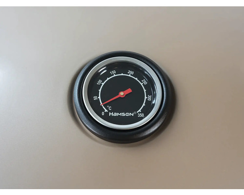 Thermomètre Hamson pour la mesure de la température