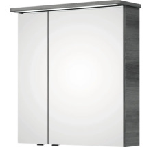 Armoire de toilette à deux portes