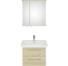 Waschtischunterschrank mit Waschbecken und Spiegelschrank für das Badezimmer