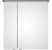 Armoire de toilette avec deux portes et éclairage