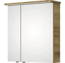 Armoire de toilette à deux portes avec éclairage