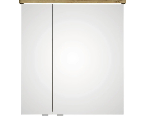Armoire de toilette avec deux portes et étagère