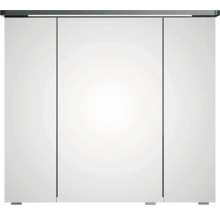Armoire de toilette avec trois portes pour la salle de bain