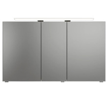 Armoire de toilette avec trois portes et éclairage