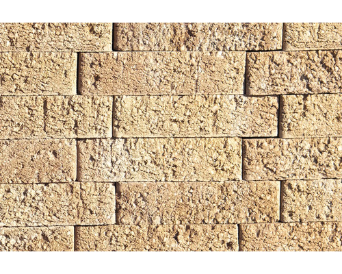 Mauer aus Betonsteinen