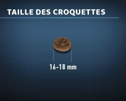 Taille des croquettes pour chien : 16 à 18 millimètres
