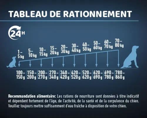 Tableau des rations alimentaires pour chiens selon le poids et la ration journalière