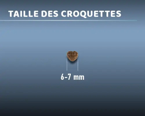 Croquette d''aliment d''une taille de six à sept millimètres