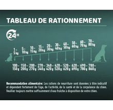 Tableau des rations alimentaires pour chiens selon le poids