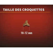Taille des croquettes pour chiens : 10 à 12 millimètres