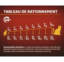 Tableau de rationnement pour chat avec recommandations de dosage