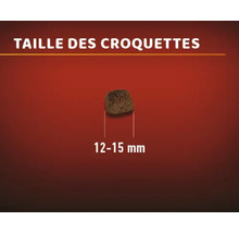 Taille des croquettes : 12 à 15 millimètres
