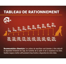Tableau de rationnement pour chiens avec recommandations de poids