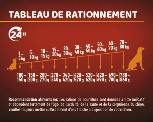 Tableau de rationnement pour chiens avec recommandations de poids