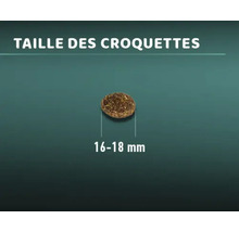 Taille des croquettes : 16 à 18 millimètres