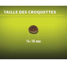 La taille des croquettes pour chat est de 16 à 18 millimètres