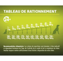Tableau de rationnement pour chiens avec recommandations de poids