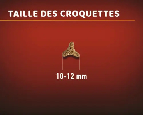 Croquette pour chiens d''une taille de 10 à 12 millimètres