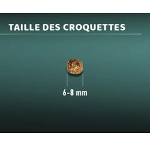 Croquette pour chiens d''une taille de 6 à 8 millimètres