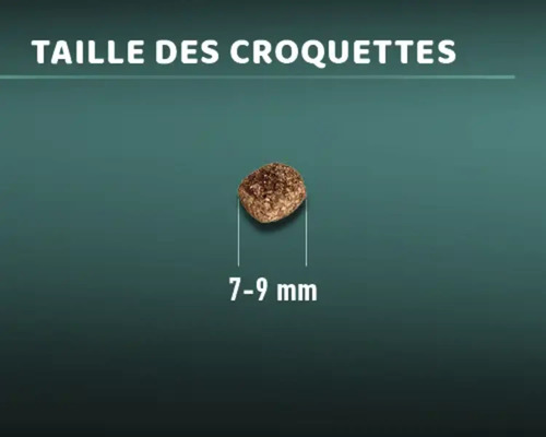 Croquette alimentaire individuelle d''une taille de 7 à 9 millimètres