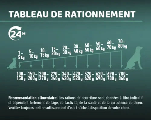 Tableau de rationnement pour chiens selon le poids et la quantité de nourriture.