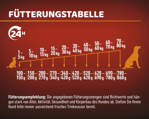 Fütterungstabelle für Hunde mit Gewichtsempfehlungen