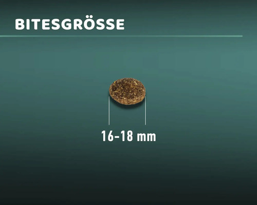 Futterkrokette mit einer Größe von 16 bis 18 Millimetern