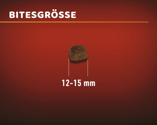 Illustration der Bissengrösse mit 12 bis 15 Millimeter
