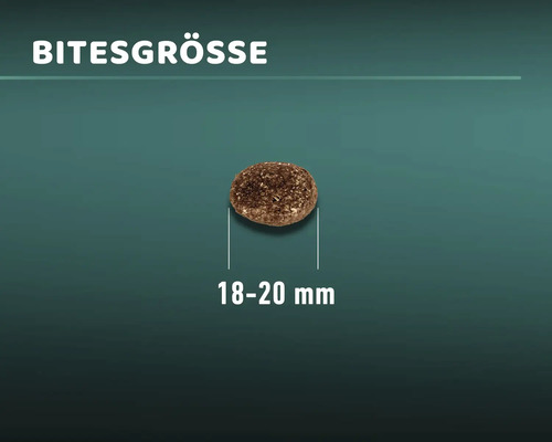 Größe eines Futterstücks mit 18 bis 20 Millimeter