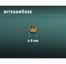 Bissengrösse 6 bis 8 Millimeter