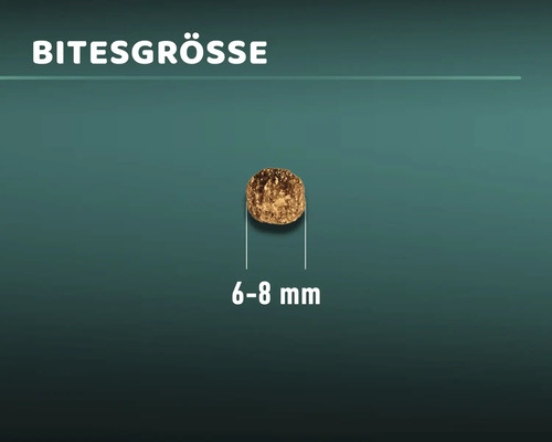 Bissengrösse 6 bis 8 Millimeter