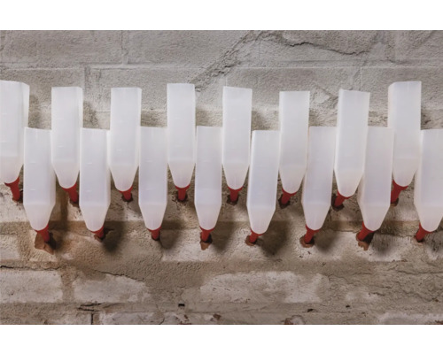 Mehrere weisse Tränkeimer für Tiere an einer Wand