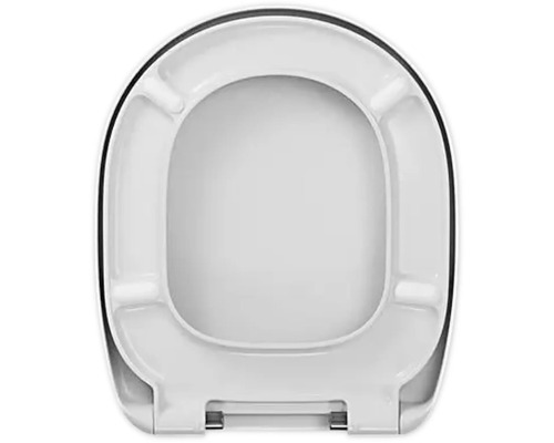 Toilettendeckel aus Kunststoff