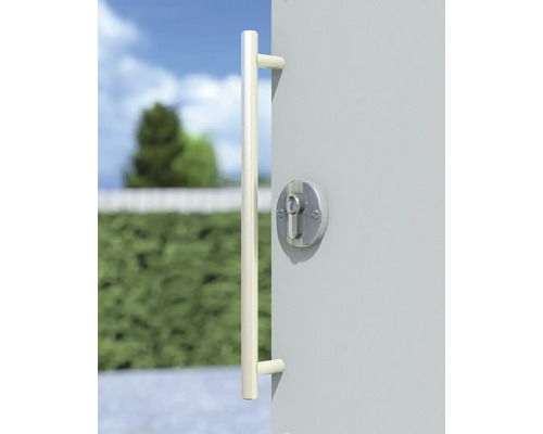 Porte avec poignée et serrure