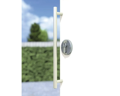 Porte avec poignée de porte et serrure