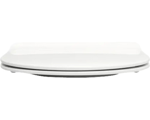 Abattant de WC en céramique sanitaire