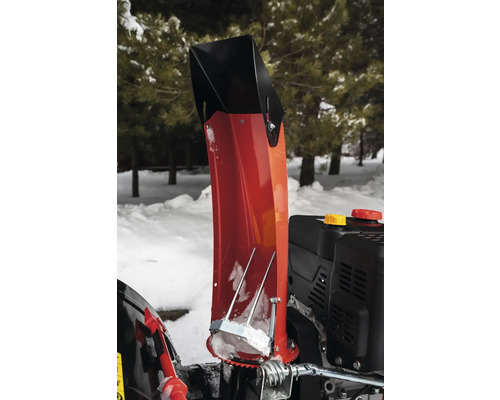 Vue détaillée d''une fraise à neige