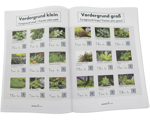 Eine geöffnete Broschüre mit Bildern von kleinen und grossen Vordergrundpflanzen für Aquarien.
