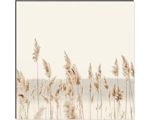 Image murale décorative avec motif d''herbe de roseau