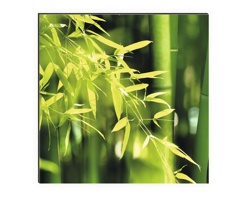 Tableau sur toile en bambou avec des feuilles de bambou