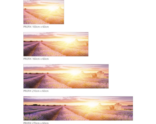 Image murale PROFIX avec champ de lavande et lever de soleil en différentes tailles