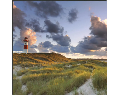 Paysage avec phare, dune et herbe