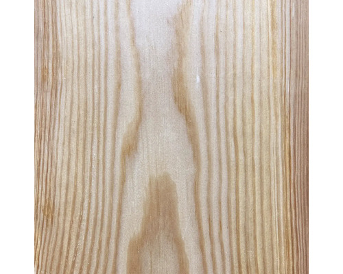 Texture du bois d''un conifère